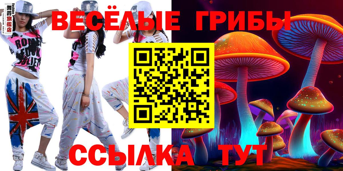 Псилоцибиновые грибы Psilocybine cubensis Кунгур