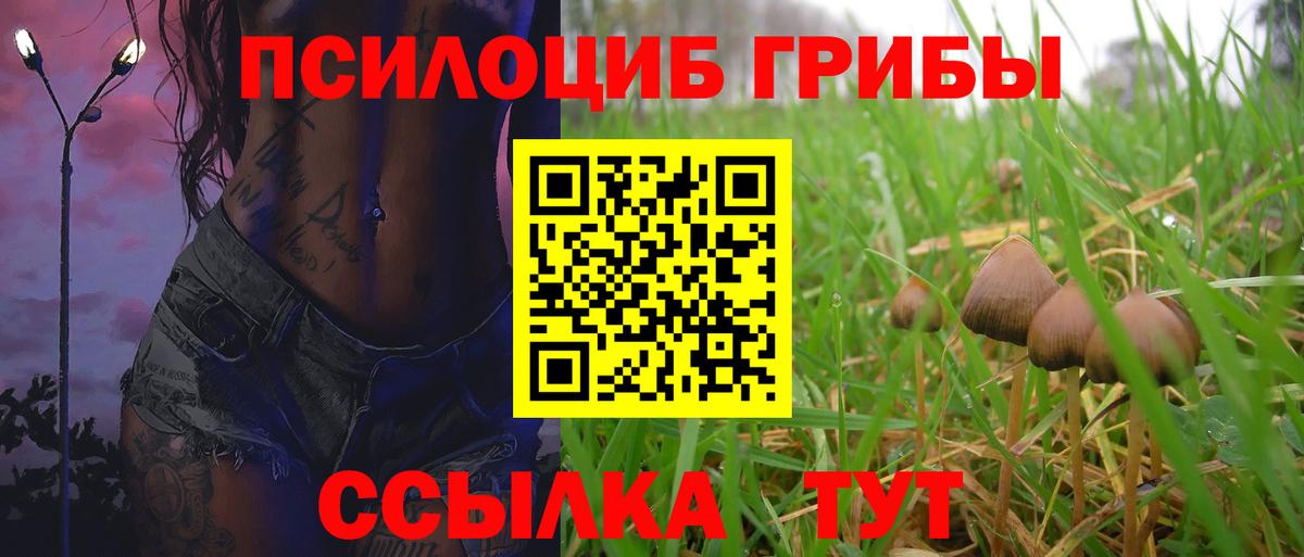 Галлюциногенные грибы Cubensis  Псилоцибиновые грибы Magic Shrooms  Кунгур  Вход с VPN 